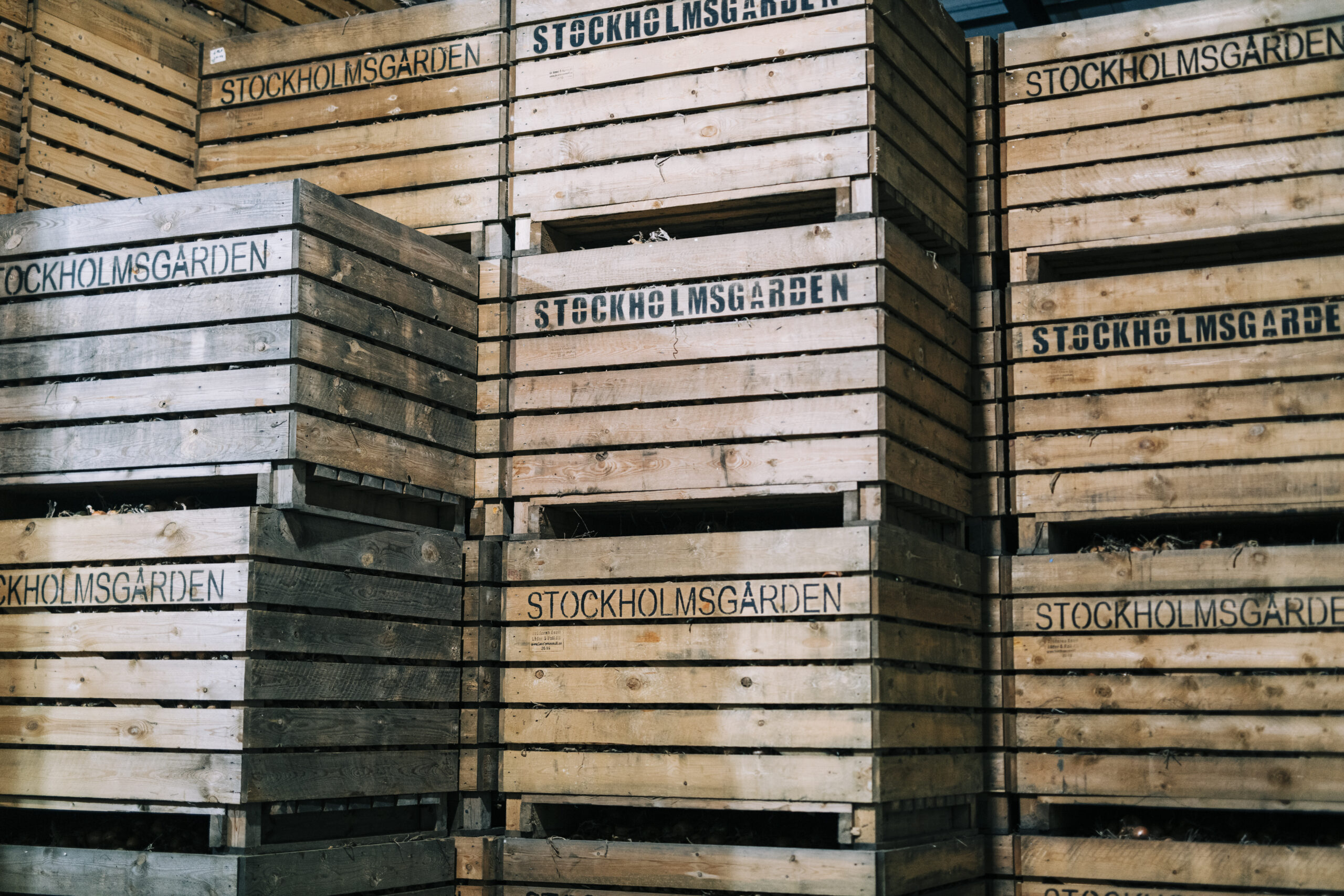 Stockholmsgarden-2025-3143-scaled