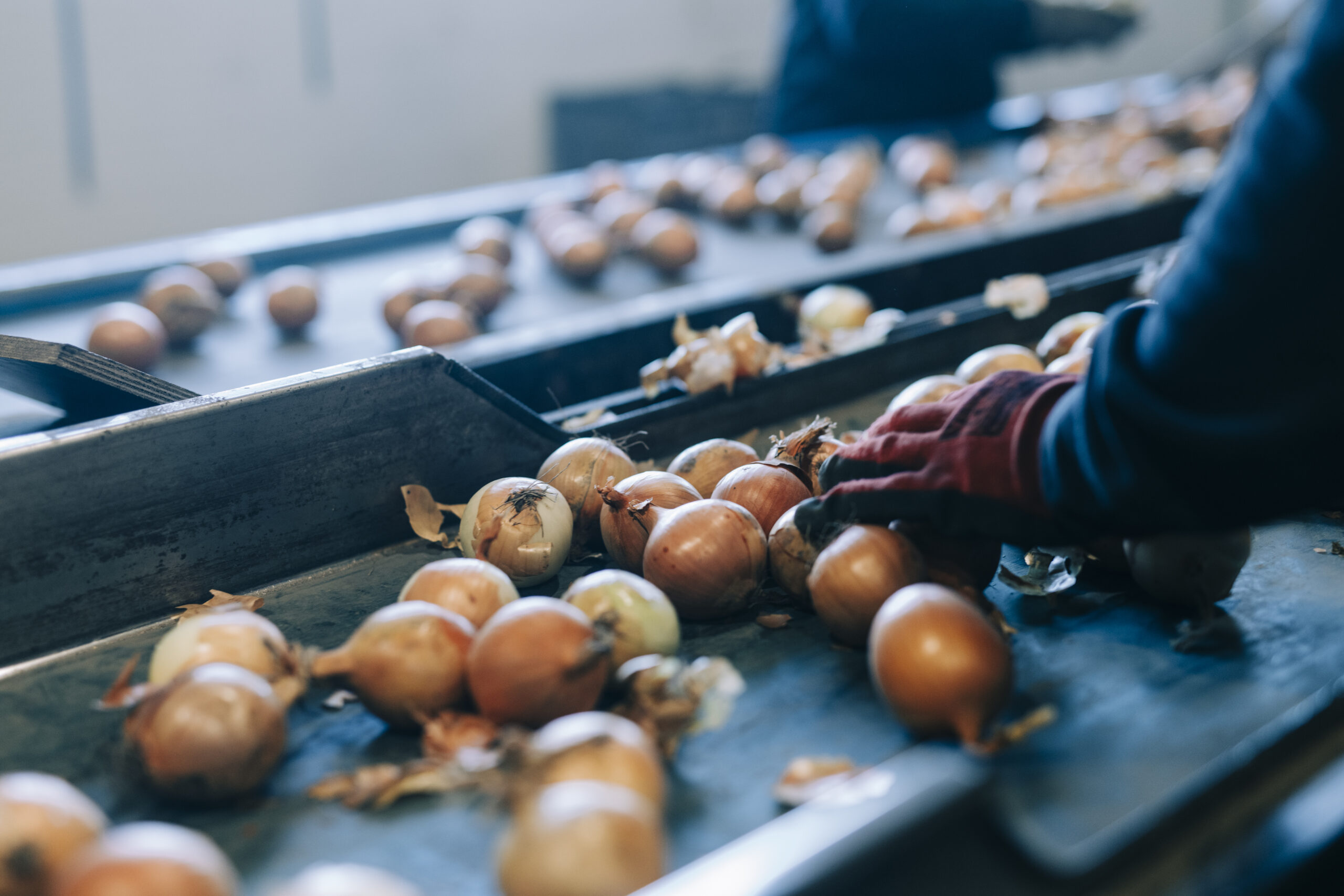 Stockholmsgarden-2025-3206-scaled